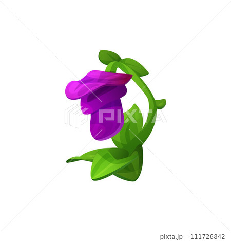 Purple magic flower, beautiful blossom one bud of beans plant on a stem with leaves, cartoon vector natural organic herb 111726842