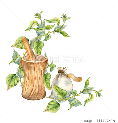 Medicinal herbs and wooden mortar watercolor illustration isolated on white . Nettle stinging plant and herb sachet with dry leaves. Wooden utensil hand drawing. Element for label herb plants Medicinal herbs and wooden mortar watercolor illustration isolated on white . Nettle stinging plant and herb sachet with dry leaves. Wooden utensil hand drawing. Element for label herb plants 111727419
