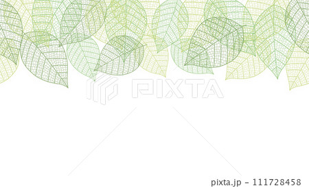 葉脈パターンのシームレスなテキストスペース付き背景イラスト 111728458