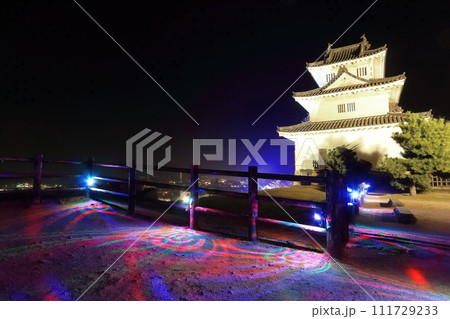 【香川県】ライトアップされた丸亀城の夜景（現存天守と石垣の名城） 111729233