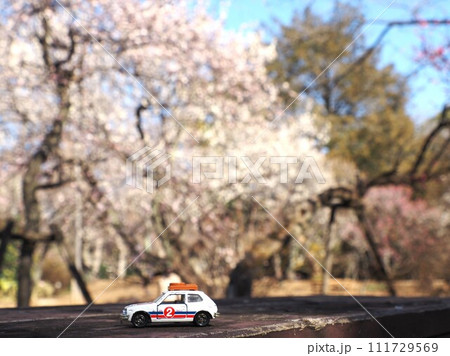 ミニカーのある風景 梅の花が背景のシビック ミニカーのある風景 梅の花が背景のシビック 111729569