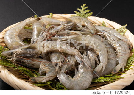 ［熊本県産］芝海老（加熱用） 111729626