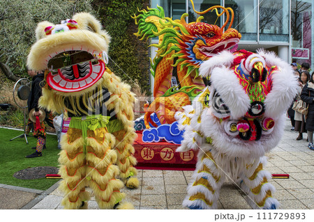 横浜中華街 春節祭 採青 春節祈願獅子舞 横浜マリンタワー前にて 横浜中華街 春節祭 採青 春節祈願獅子舞 横浜マリンタワー前にて 111729893