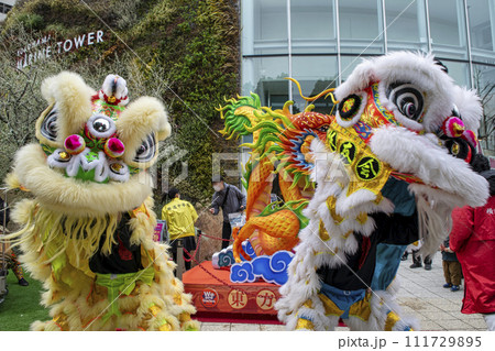 横浜中華街　春節祭　採青　春節祈願獅子舞　横浜マリンタワー前にて 111729895