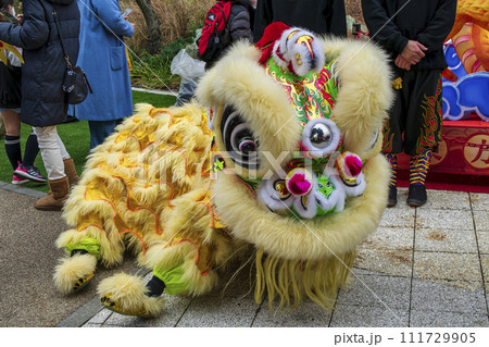 横浜中華街　春節祭　採青　春節祈願獅子舞　横浜マリンタワー前にて 111729905