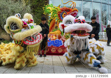 横浜中華街　春節祭　採青　春節祈願獅子舞　横浜マリンタワー前にて 111729906