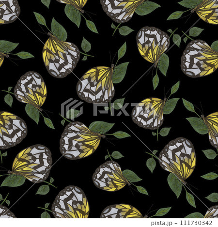 Seamless Pattern with Colorful Butterflies on Black Background. 111730342