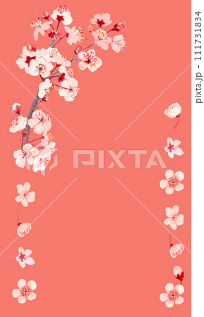 Watercolor hand drawn pink sakura flower vertical frame on peach background 111731834