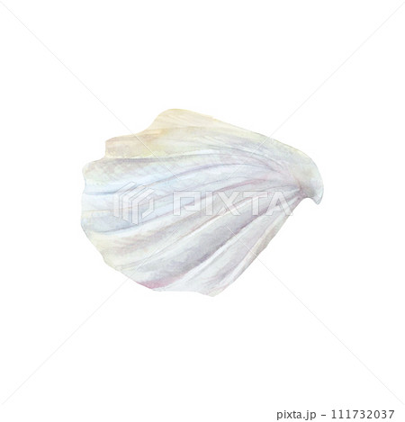 Cream meringue whipped watercolor drawing. Mousse foam topping bakery sweet tasty butter ice dessert illustration. Birthday decoration aquarelle isolated on white background. Delicious cafe chocolate Cream meringue whipped watercolor drawing. Mousse foam topping bakery sweet tasty butter ice dessert illustration. Birthday decoration aquarelle isolated on white background. Delicious cafe chocolate 111732037