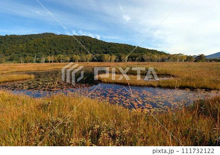 紅葉と池 紅葉と池 111732122