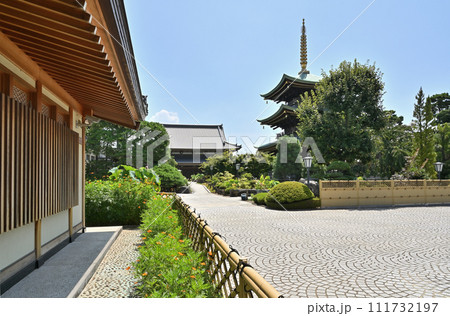 蕨宿散歩　中仙道蕨宿・三学院　真言宗智山派　境内　 111732197