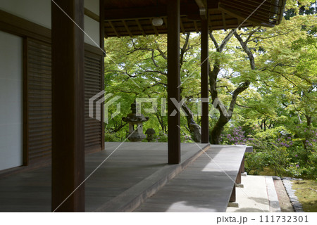 新緑の常寂光寺 本堂 京都市右京区嵯峨 新緑の常寂光寺 本堂 京都市右京区嵯峨 111732301