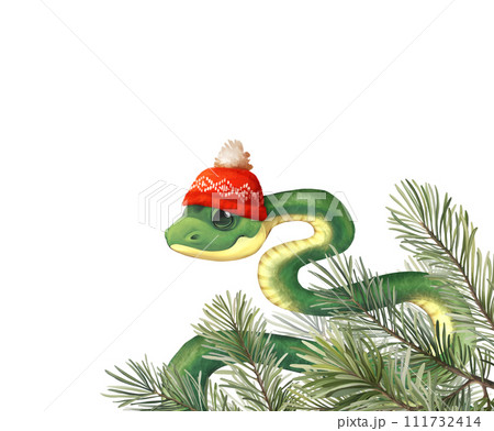 Snake wirh fir branches. Cute illustration of green snake in red knitted hat, isolated on white background 111732414