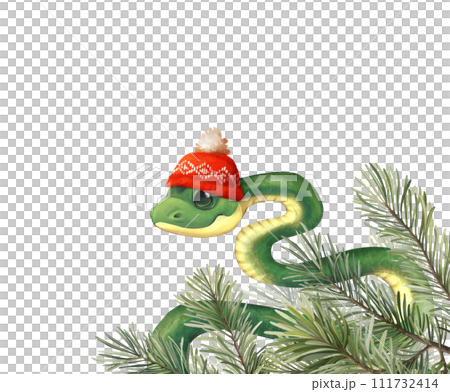 Snake wirh fir branches. Cute illustration of green snake in red knitted hat, isolated on white background 111732414