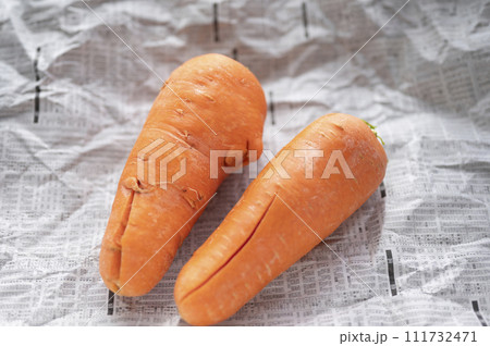 規格外野菜、出荷出来ないニンジン 111732471