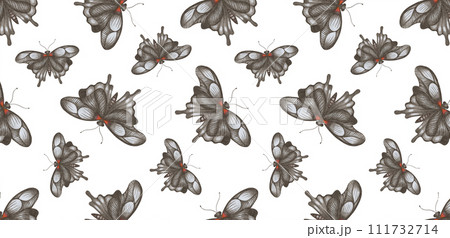 Digital Paper with Colorful Butterflies on White Background. Digital Paper with Colorful Butterflies on White Background. 111732714