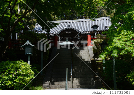 根来寺 不動堂 和歌山県岩出市 根来寺 不動堂 和歌山県岩出市 111733005