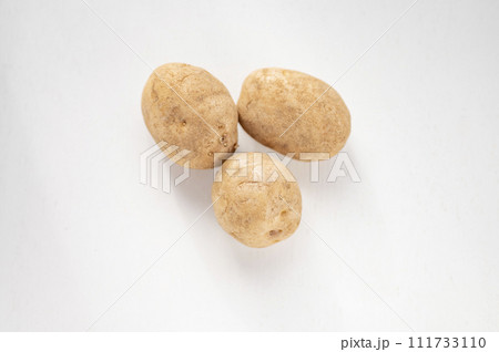 規格外野菜、出荷出来ないジャガイモ 規格外野菜、出荷出来ないジャガイモ 111733110
