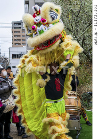 横浜中華街　春節祭　採青　春節祈願獅子舞　横浜マリンタワー前にて 111733161