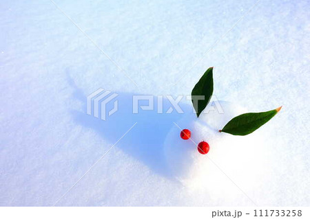 雪うさぎ 雪像 ウサギ うさぎ 兎: 雪うさぎ 雪像 ウサギ うさぎ 兎: 111733258