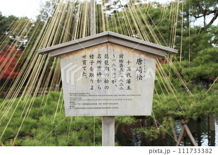 唐崎の松の看板 唐崎の松の看板 111733382