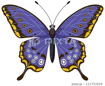 Vibrant Blue Butterfly Illustration Vibrant Blue Butterfly Illustration 111733959