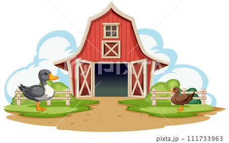 Ducks Resting by the Countryside Barn 111733963