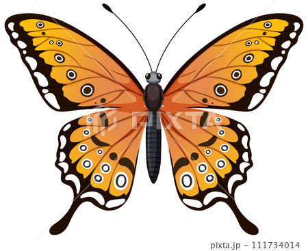 Vibrant Monarch Butterfly Illustration Vibrant Monarch Butterfly Illustration 111734014