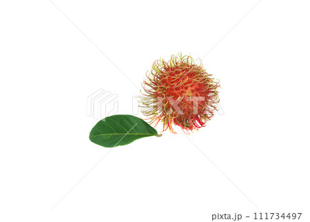 rambutan isolated on white background 111734497