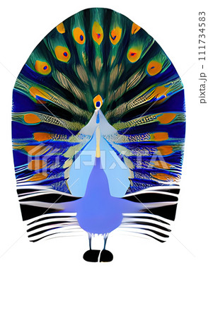 Peacock. Vector illustration. Animal theme. 111734583