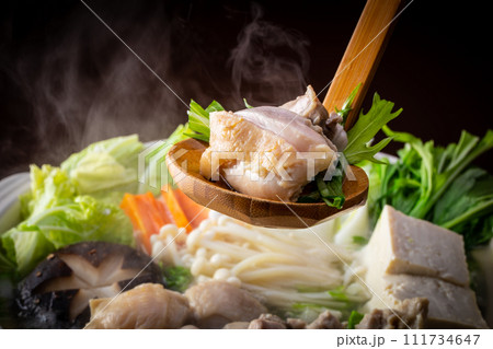 水炊き〜鶏鍋  111734647
