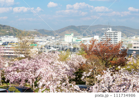 幸田文化公園から望む東海道新幹線 111734986