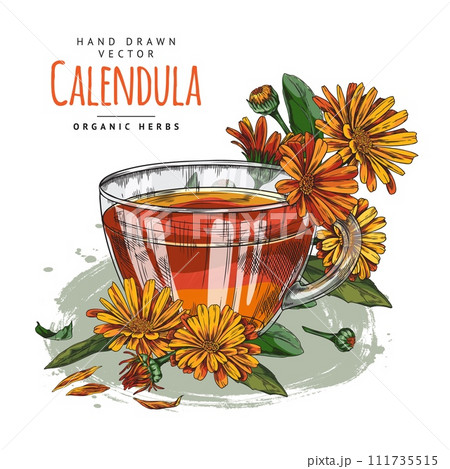 Vector template of a mug of tea with calendula flowers. Design with place for text. 111735515