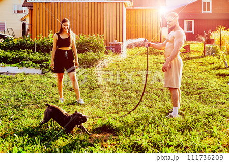 White man in shorts and without shirt plays with dog, directing stream of water from hose towards animal, young woman watches fun. 111736209