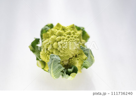 規格外野菜、出荷出来ないロマネスコ 規格外野菜、出荷出来ないロマネスコ 111736240