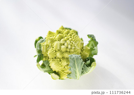 規格外野菜、出荷出来ないロマネスコ 111736244