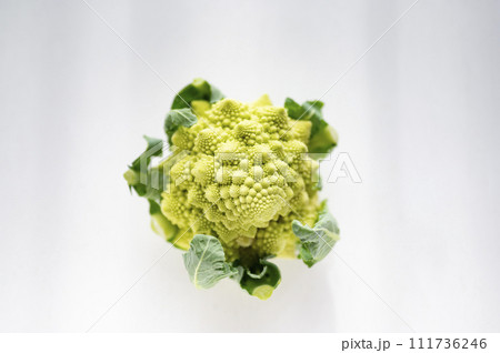 規格外野菜、出荷出来ないロマネスコ 111736246