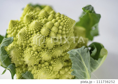 規格外野菜、出荷出来ないロマネスコ 111736252
