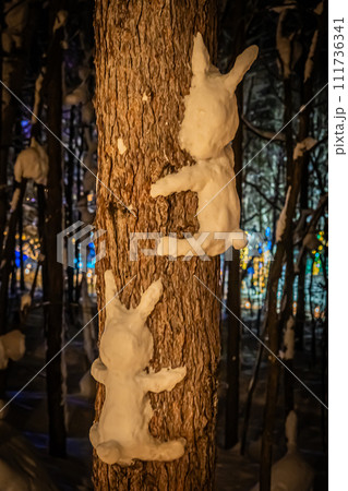 冬のニングルテラス 冬のニングルテラス 111736341