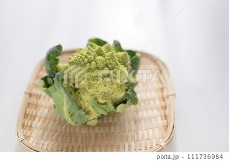 規格外野菜、出荷出来ないロマネスコ 111736984