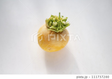 規格外野菜、出荷出来ない金カブ 規格外野菜、出荷出来ない金カブ 111737280