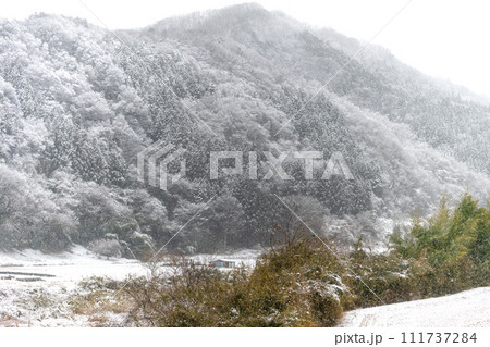 茨城県大子町の雪景色 茨城県大子町の雪景色 111737284