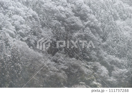 茨城県大子町の雪景色 茨城県大子町の雪景色 111737288