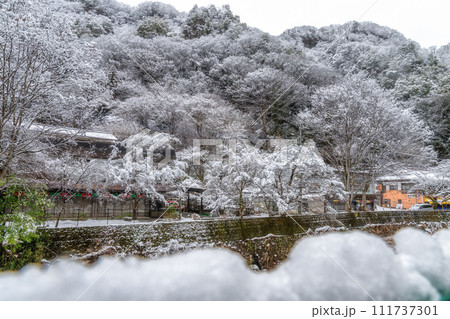 茨城県大子町の雪景色 茨城県大子町の雪景色 111737301