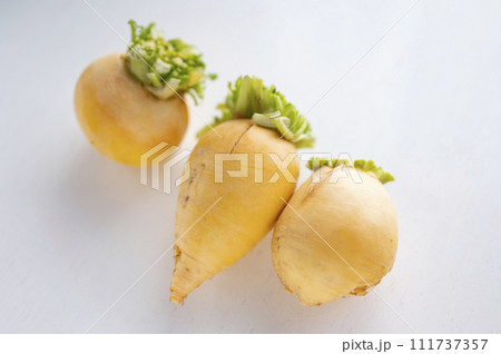 規格外野菜、出荷出来ない金カブ 111737357