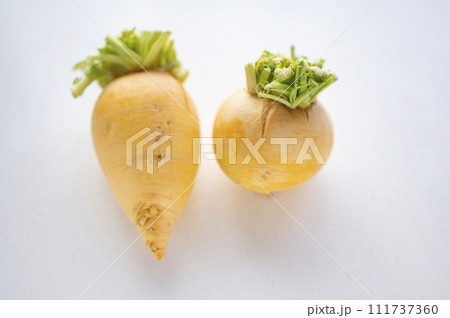 規格外野菜、出荷出来ない金カブ 111737360