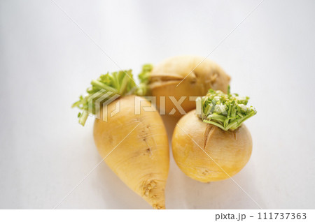 規格外野菜、出荷出来ない金カブ 111737363