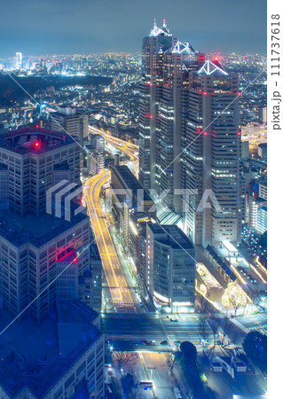 東京の夜景 111737618