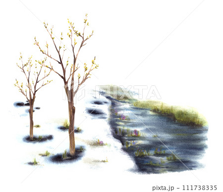 Watercolor spring landscape. Primary plants flowers, early buds and leaves on the trees, the first grass breaking through the snow, running stream. Hand painted isolated clipart on white background 111738335