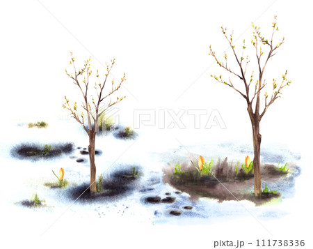 Primary plants flowers, blossoming spring tree, first buds and leaves on the trees on background of melting snow. Hand drawn watercolor landscape Nature awakening after winter isolated illustration  111738336